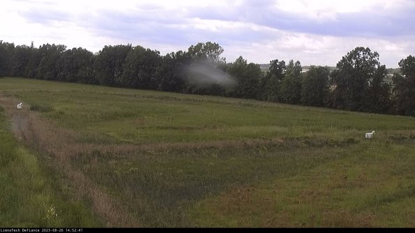 Cell 2_23-08-26_14-52-41-91