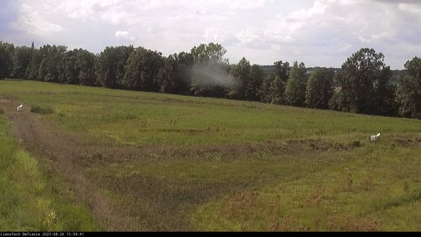 Cell 2_23-08-26_15-59-41-92