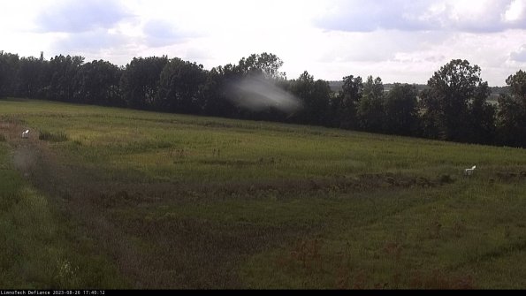 Cell 2_23-08-26_17-40-12-89