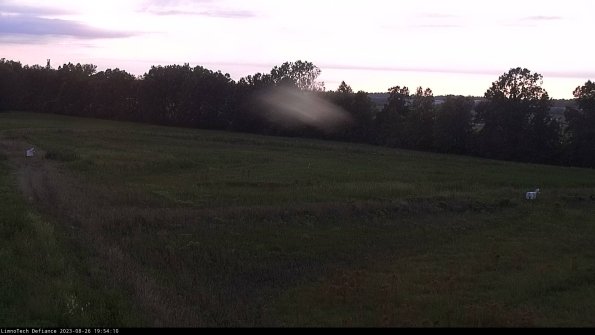 Cell 2_23-08-26_19-54-10-93