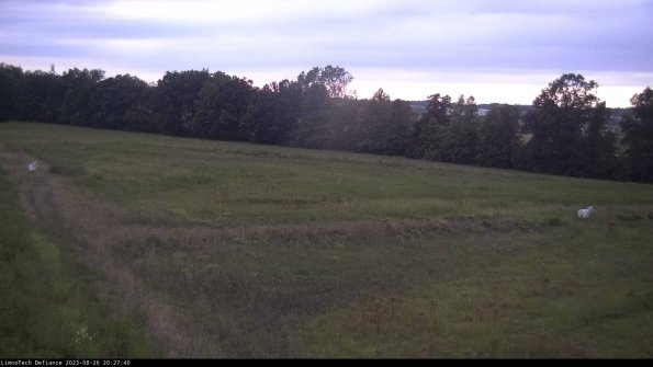 Cell 2_23-08-26_20-27-40-92