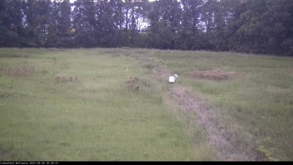 Cell 3 to 4_23-08-26_20-28-21-89