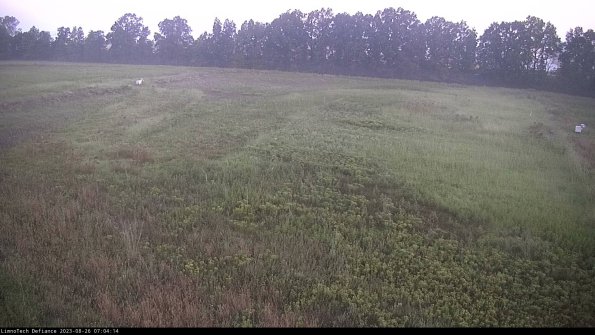 Cell 3_23-08-26_07-04-14-90