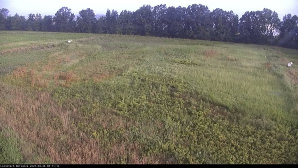 Cell 3_23-08-26_08-11-14-87