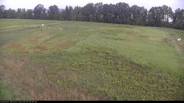 Cell 3_23-08-26_08-44-43-89