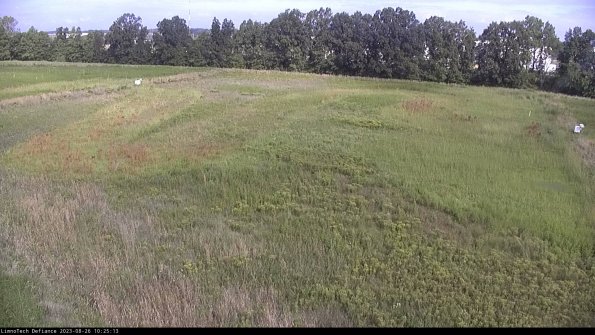 Cell 3_23-08-26_10-25-13-89