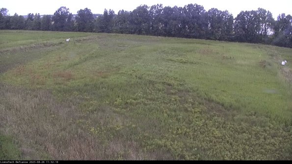 Cell 3_23-08-26_11-32-10-89