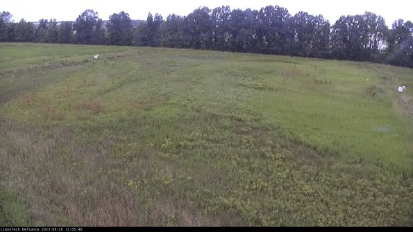 Cell 3_23-08-26_12-05-40-88