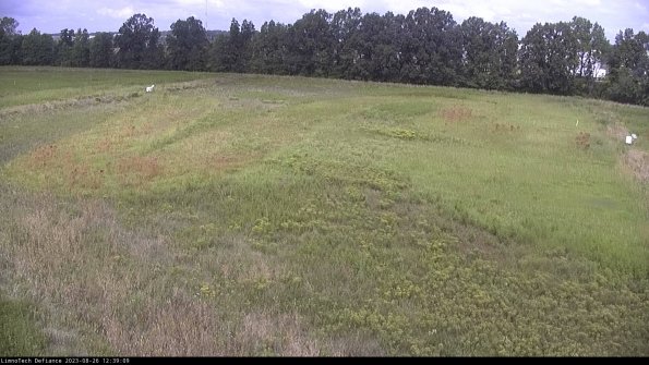 Cell 3_23-08-26_12-39-09-90