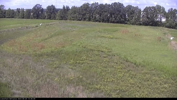 Cell 3_23-08-26_13-46-09-87