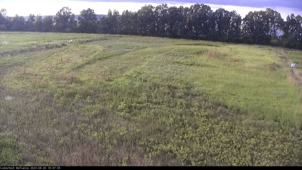 Cell 3_23-08-26_18-47-39-88