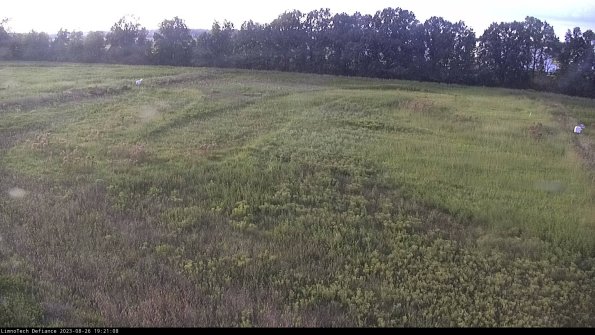 Cell 3_23-08-26_19-21-08-90