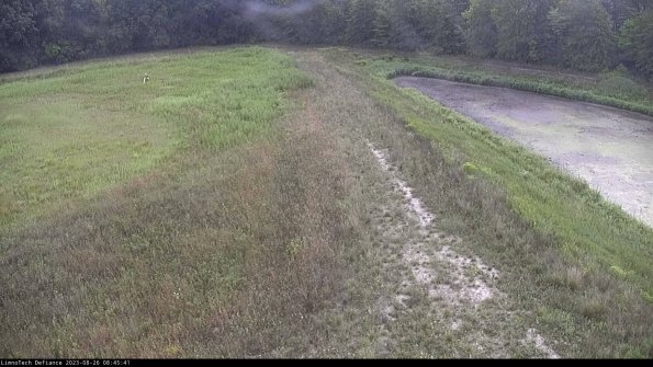 Cell 4 to Basin_23-08-26_08-45-41-91