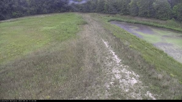 Cell 4 to Basin_23-08-26_11-33-08-88