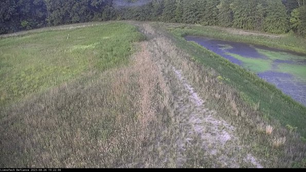 Cell 4 to Basin_23-08-26_19-22-06-90