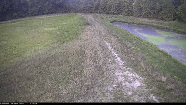 Cell 4 to Basin_23-08-26_19-55-36-92