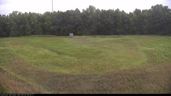 Cell 4_23-08-26_08-45-11-88