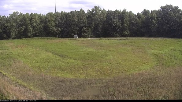 Cell 4_23-08-26_10-59-09-90