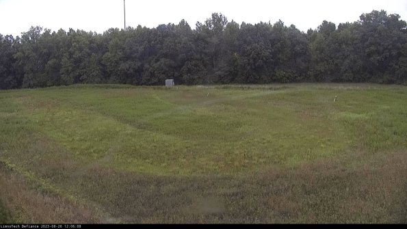 Cell 4_23-08-26_12-06-08-87