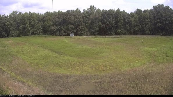 Cell 4_23-08-26_12-39-37-89