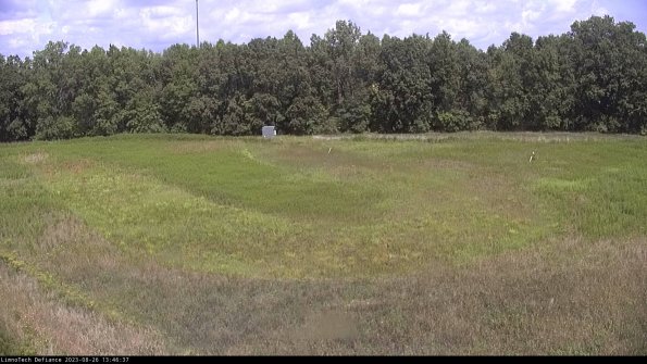 Cell 4_23-08-26_13-46-37-90