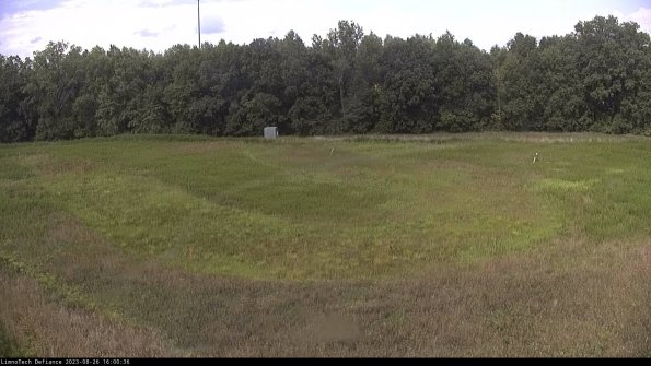 Cell 4_23-08-26_16-00-36-88