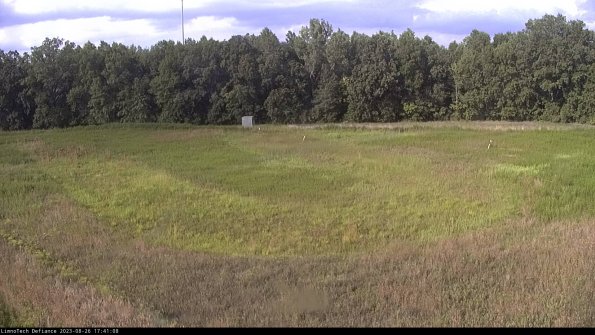 Cell 4_23-08-26_17-41-08-87