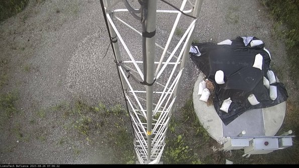 Hatch_23-08-26_07-06-22-89