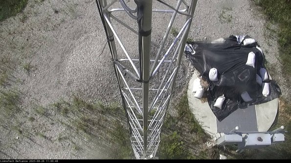 Hatch_23-08-26_11-00-48-87