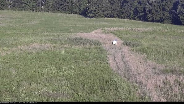 Cell 1 to 2_23-08-27_08-10-59-87