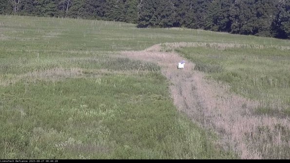 Cell 1 to 2_23-08-27_08-44-28-86