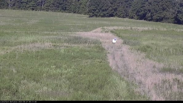 Cell 1 to 2_23-08-27_09-17-58-88