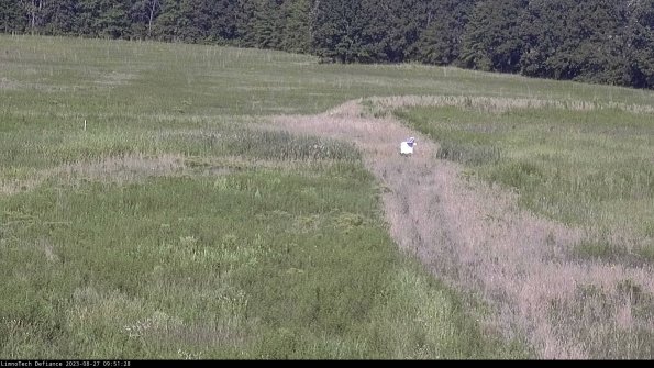 Cell 1 to 2_23-08-27_09-51-28-90