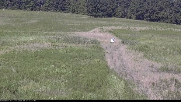 Cell 1 to 2_23-08-27_10-24-57-89