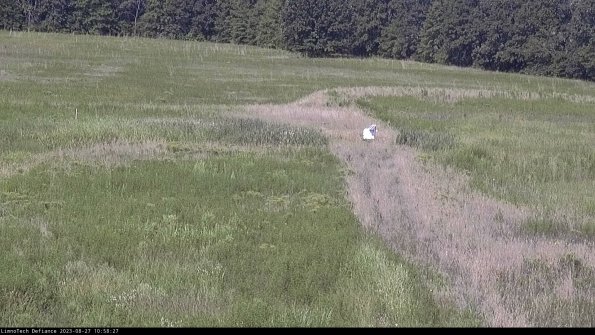 Cell 1 to 2_23-08-27_10-58-27-87