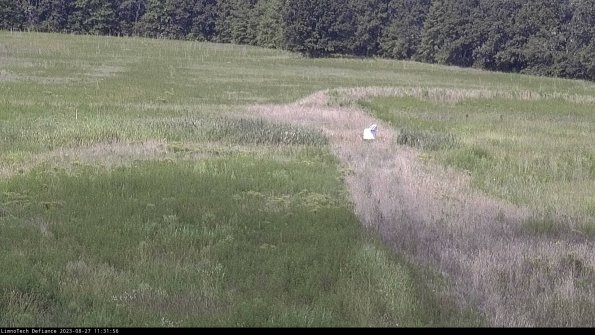 Cell 1 to 2_23-08-27_11-31-56-89