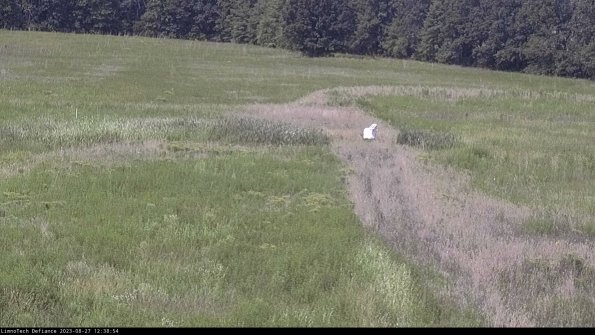 Cell 1 to 2_23-08-27_12-38-54-87