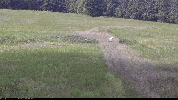 Cell 1 to 2_23-08-27_13-45-52-87