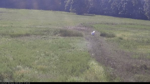 Cell 1 to 2_23-08-27_17-40-20-88