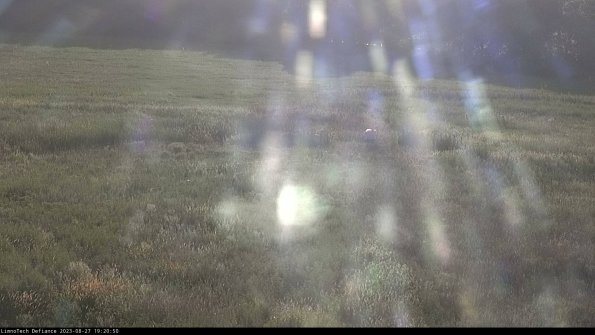 Cell 1 to 2_23-08-27_19-20-50-88