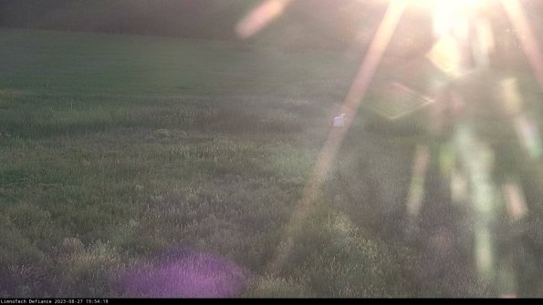 Cell 1 to 2_23-08-27_19-54-19-86