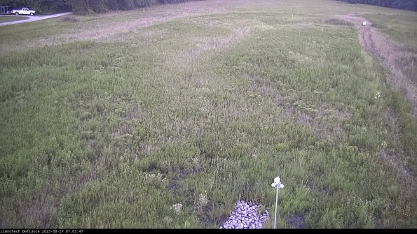 Cell 1_23-08-27_07-03-47-85