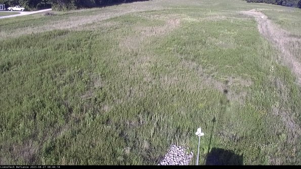 Cell 1_23-08-27_08-44-14-88