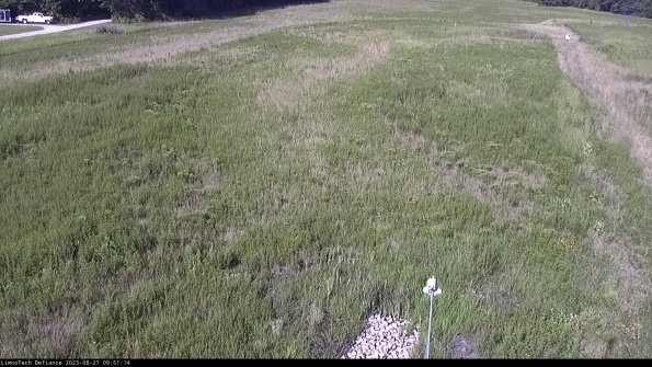 Cell 1_23-08-27_09-51-14-89