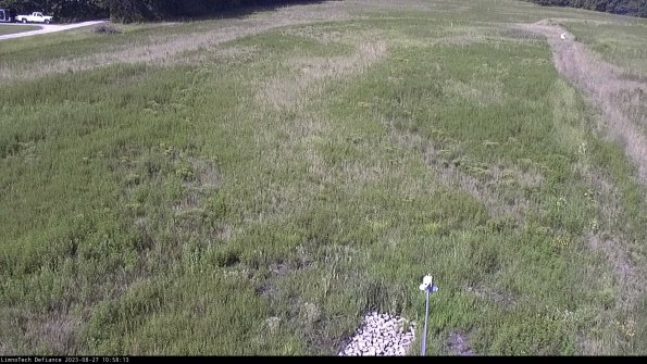 Cell 1_23-08-27_10-58-13-86