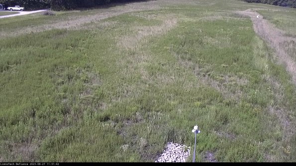 Cell 1_23-08-27_11-31-42-88