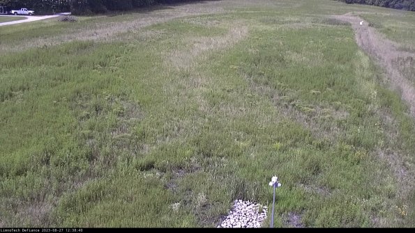 Cell 1_23-08-27_12-38-40-85