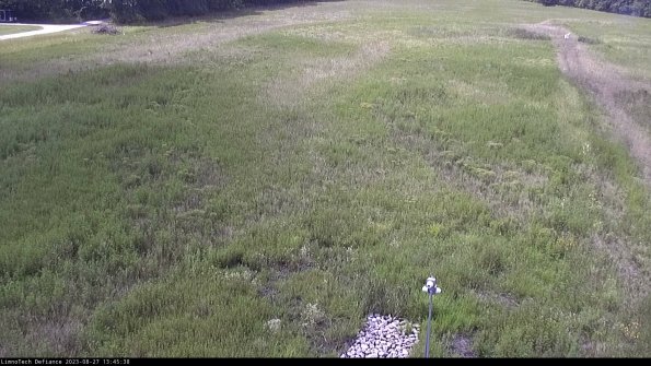 Cell 1_23-08-27_13-45-38-89