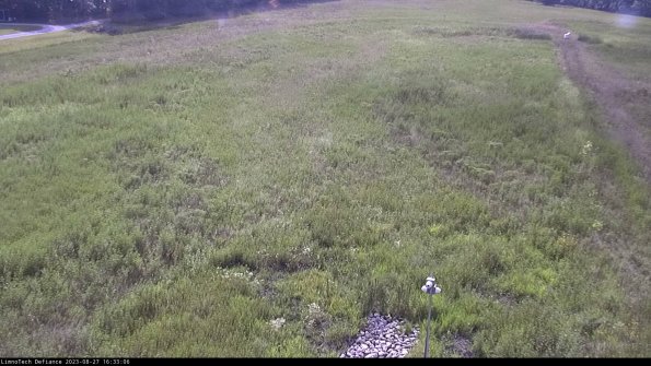 Cell 1_23-08-27_16-33-06-89