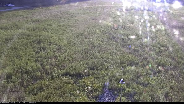 Cell 1_23-08-27_18-47-07-88